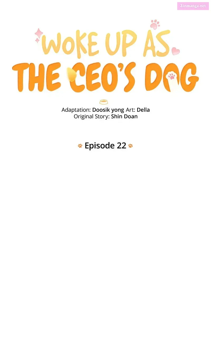 Woke Up as the CEO