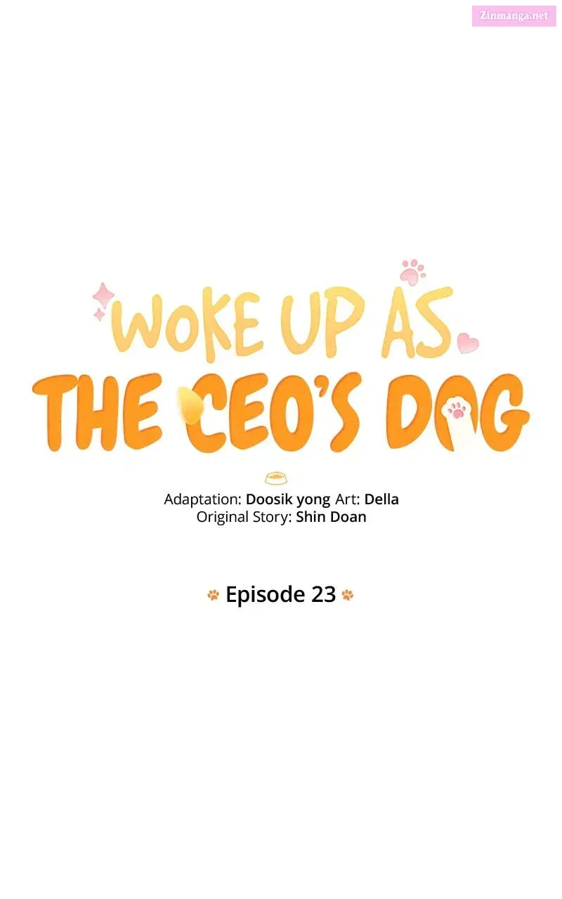 Woke Up as the CEO