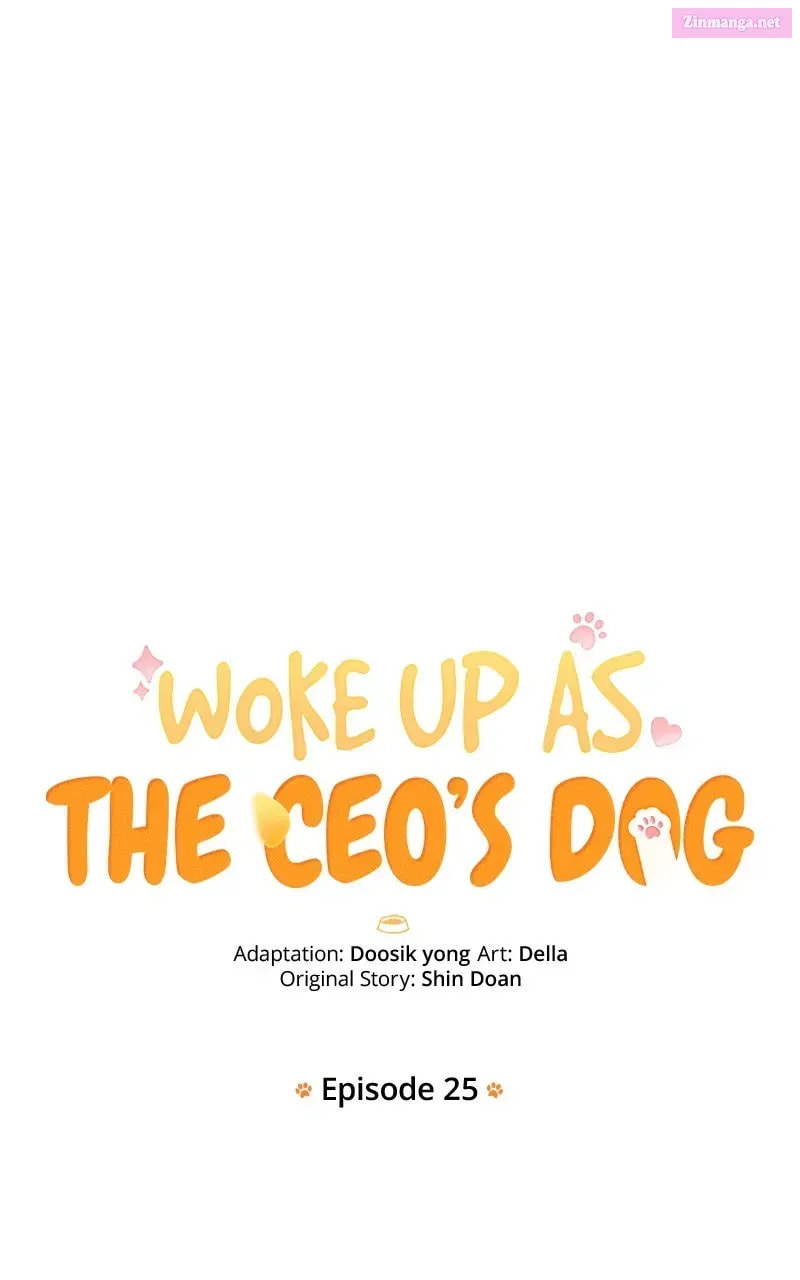 Woke Up as the CEO
