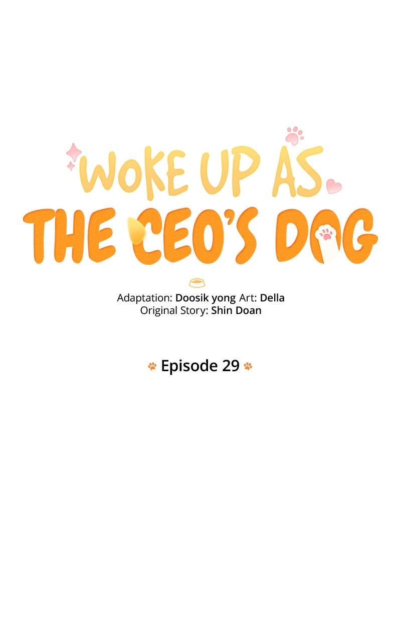 Woke Up as the CEO