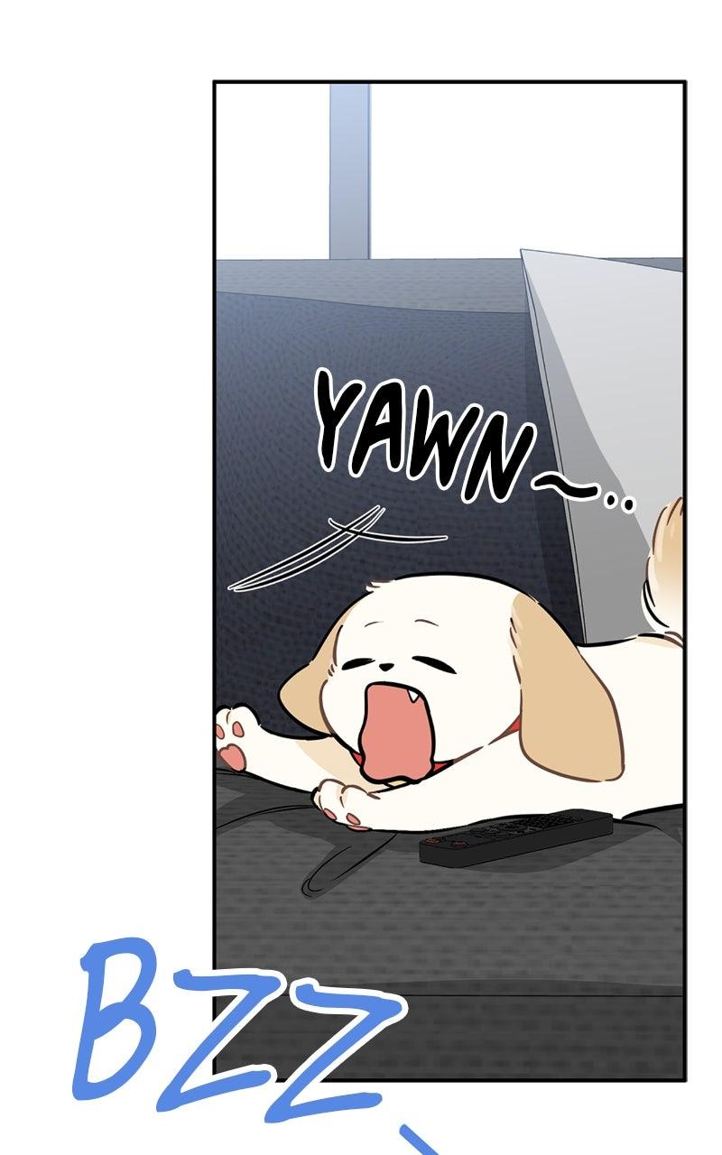 Woke Up as the CEO