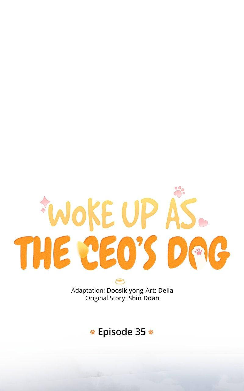 Woke Up as the CEO