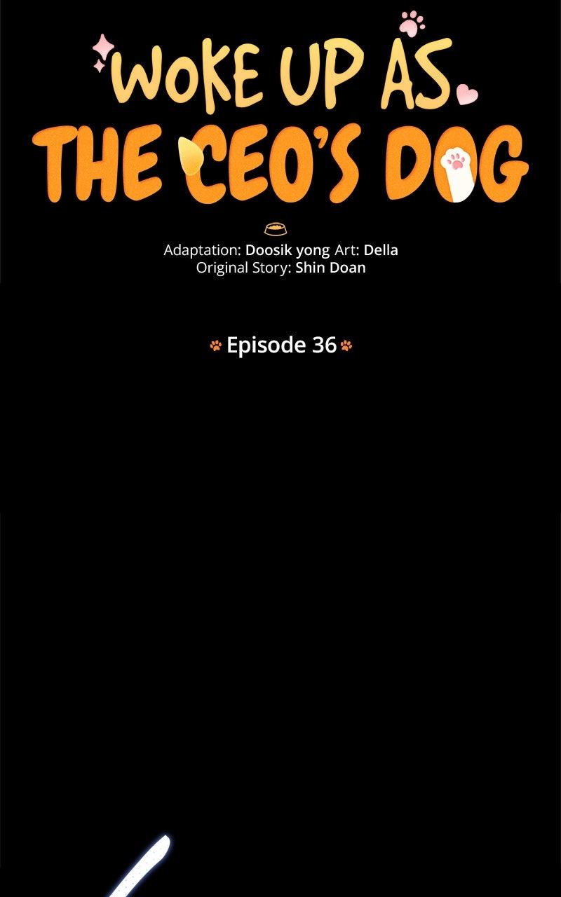 Woke Up as the CEO