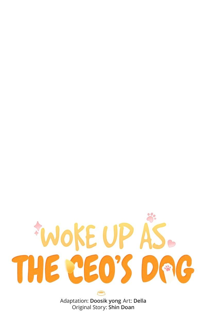 Woke Up as the CEO