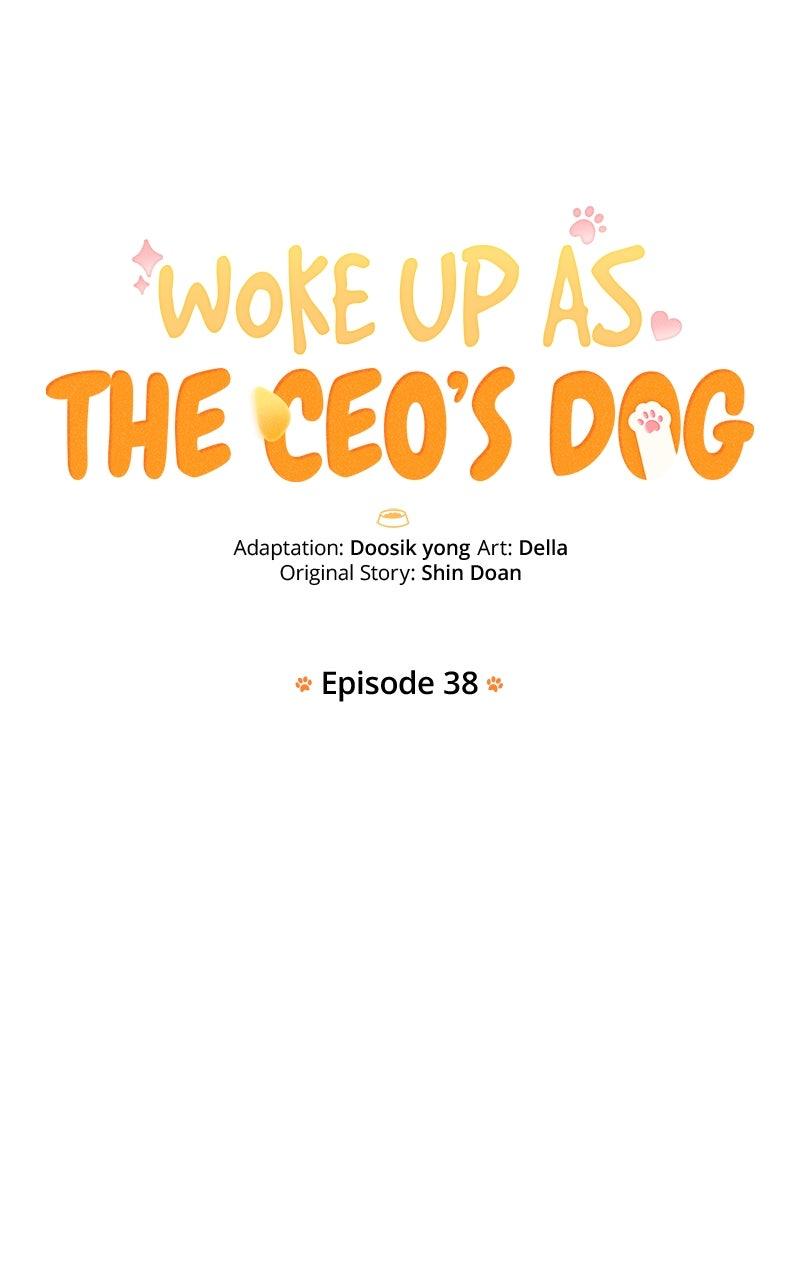 Woke Up as the CEO