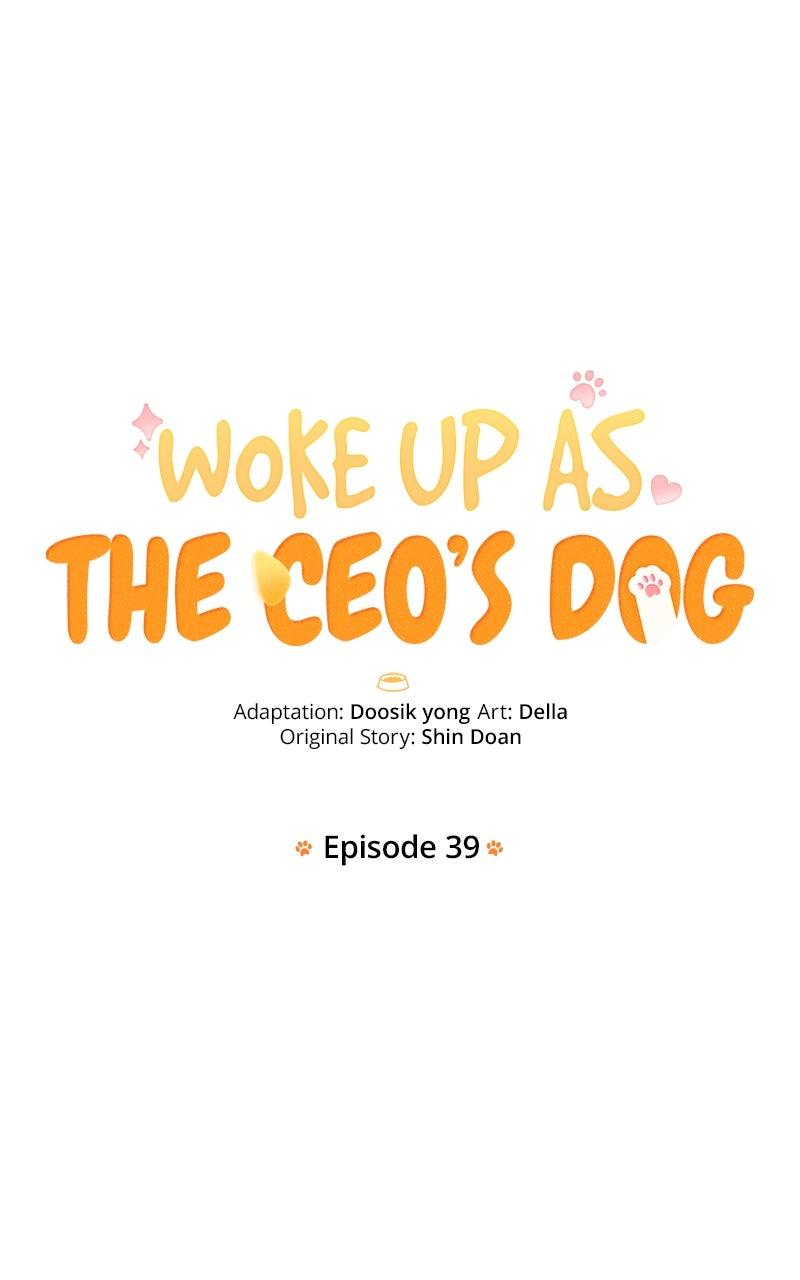 Woke Up as the CEO