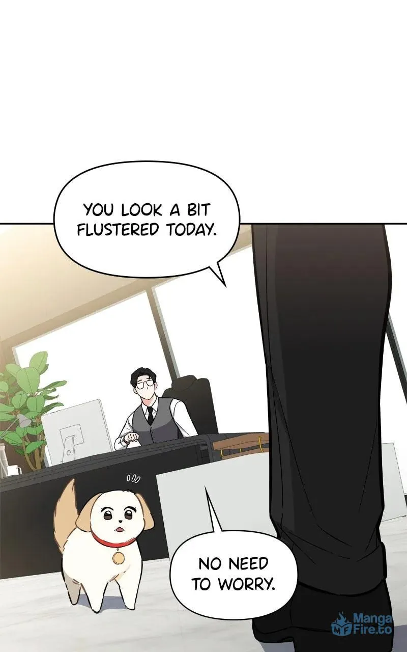 Woke Up as the CEO