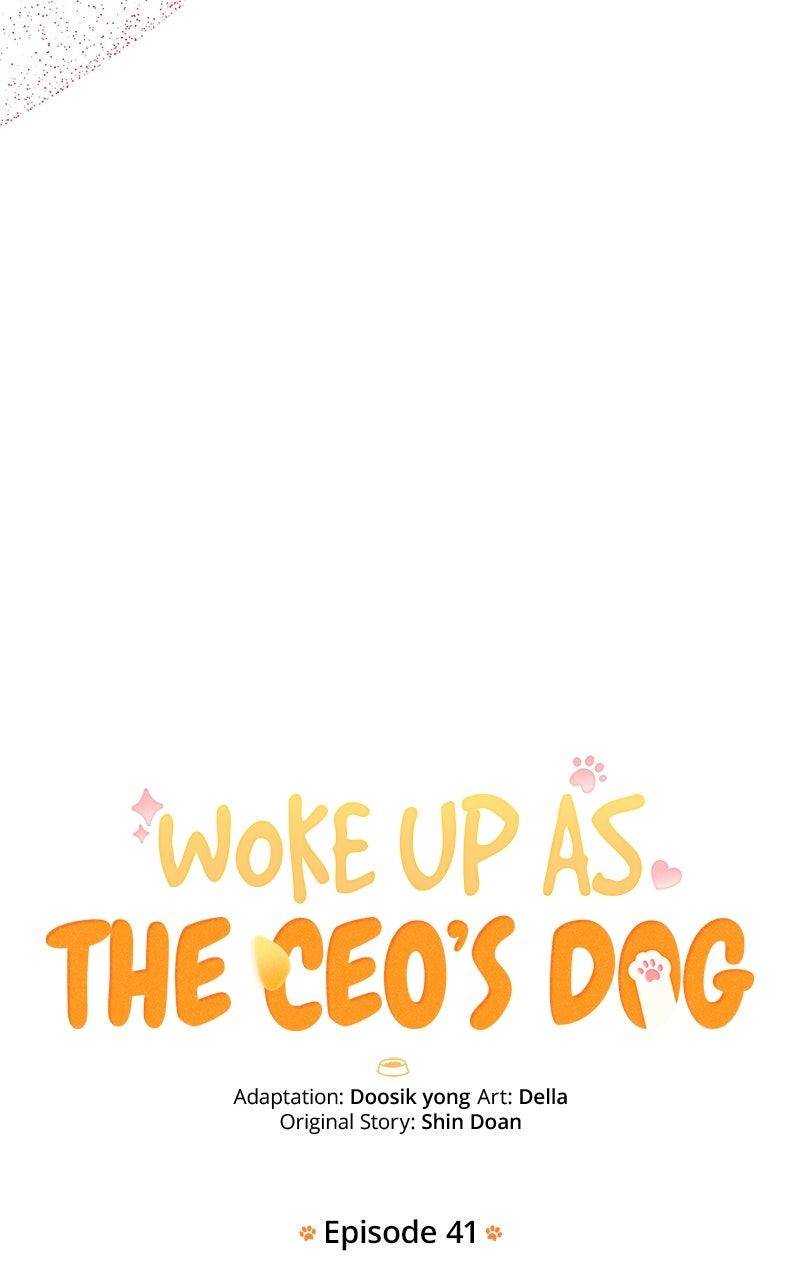 Woke Up as the CEO