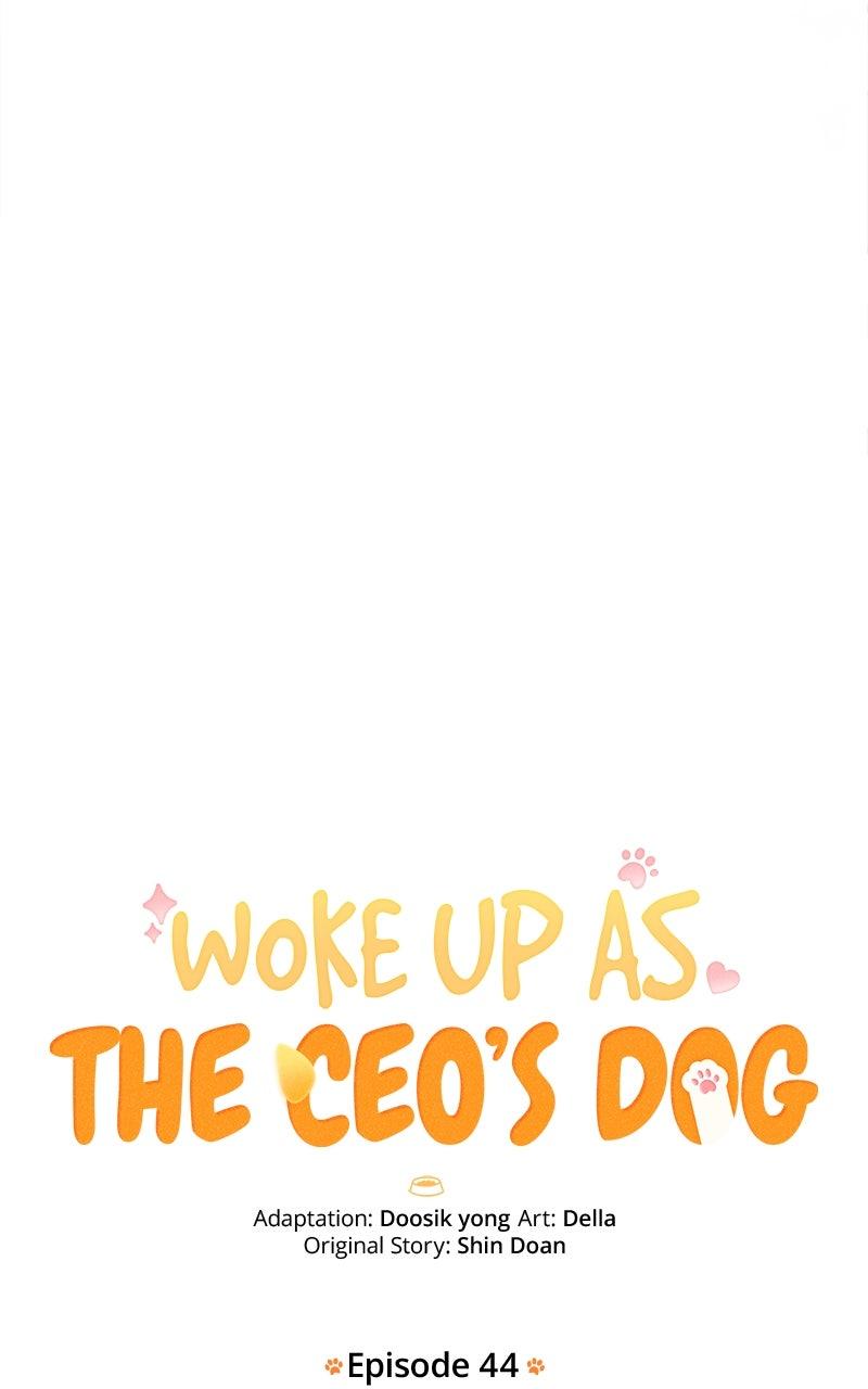 Woke Up as the CEO