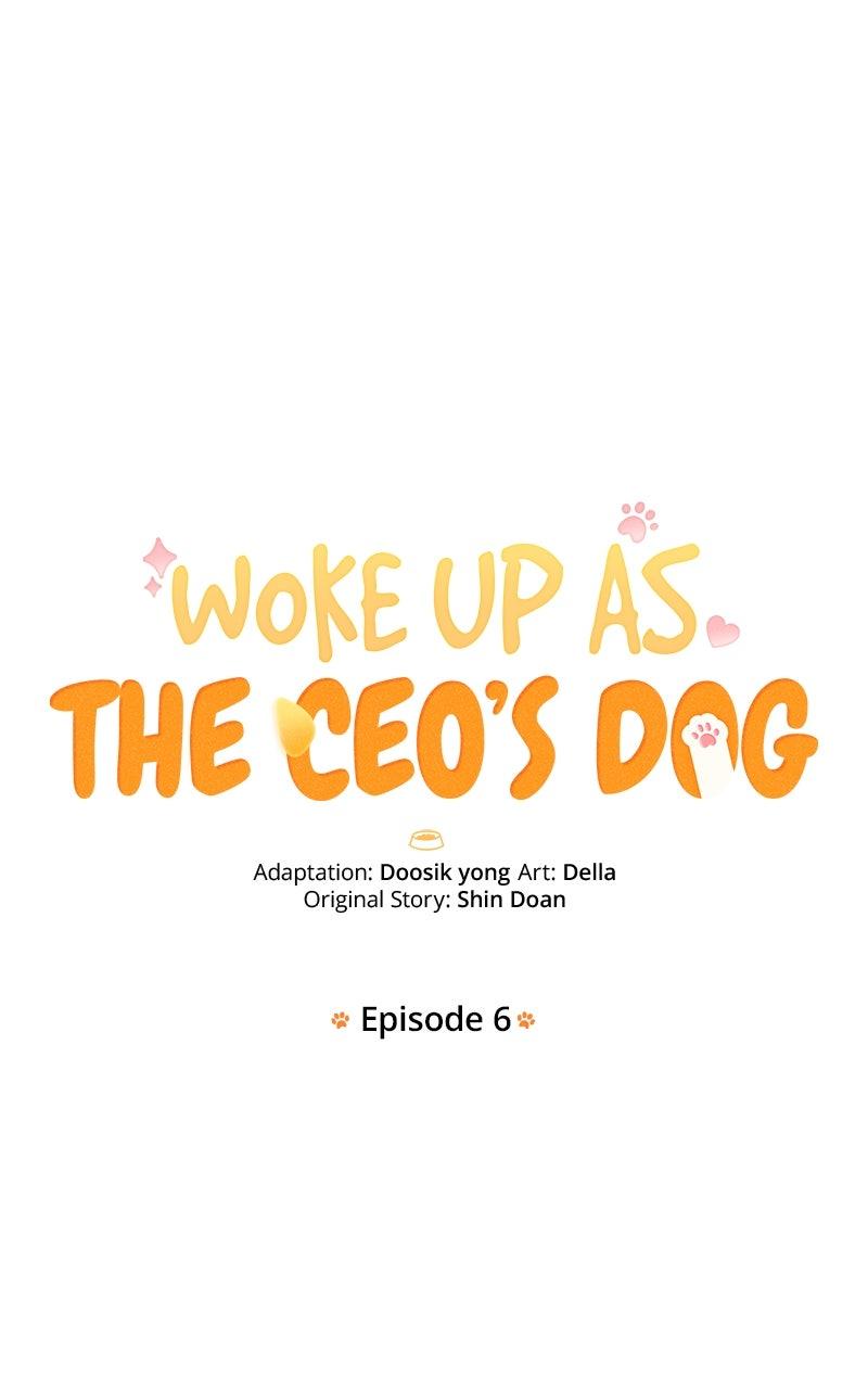 Woke Up as the CEO