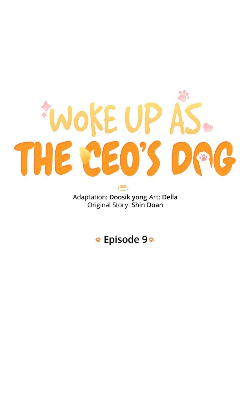 Woke Up as the CEO