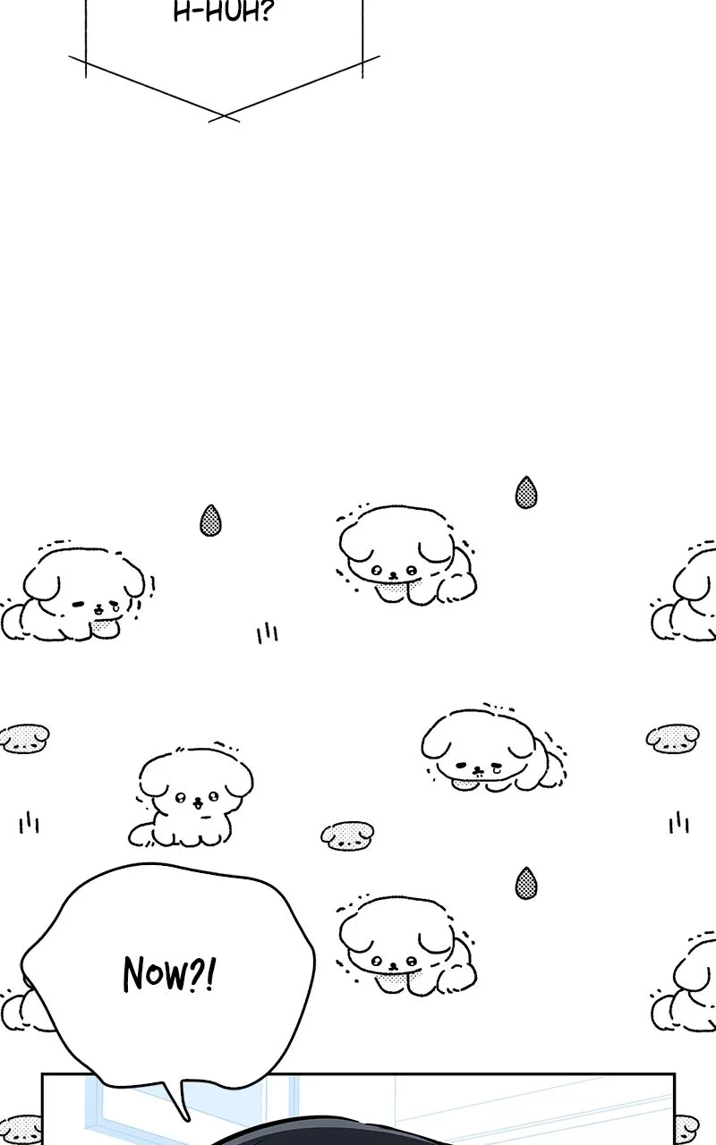 Woke Up as the CEO’s Dog Chapter 12 page 97 - 