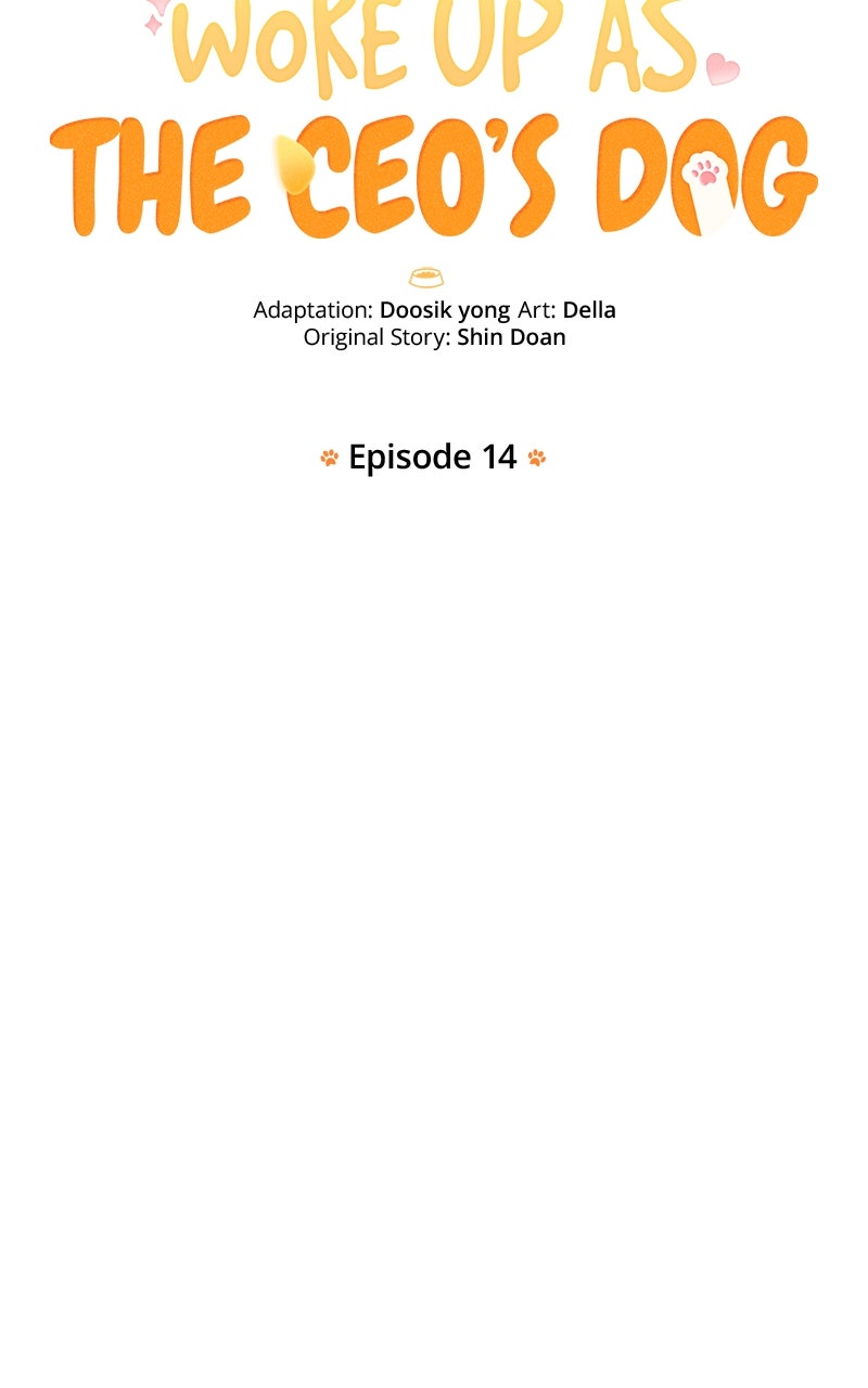 Woke Up as the CEO’s Dog Episode 14 page 12 - 