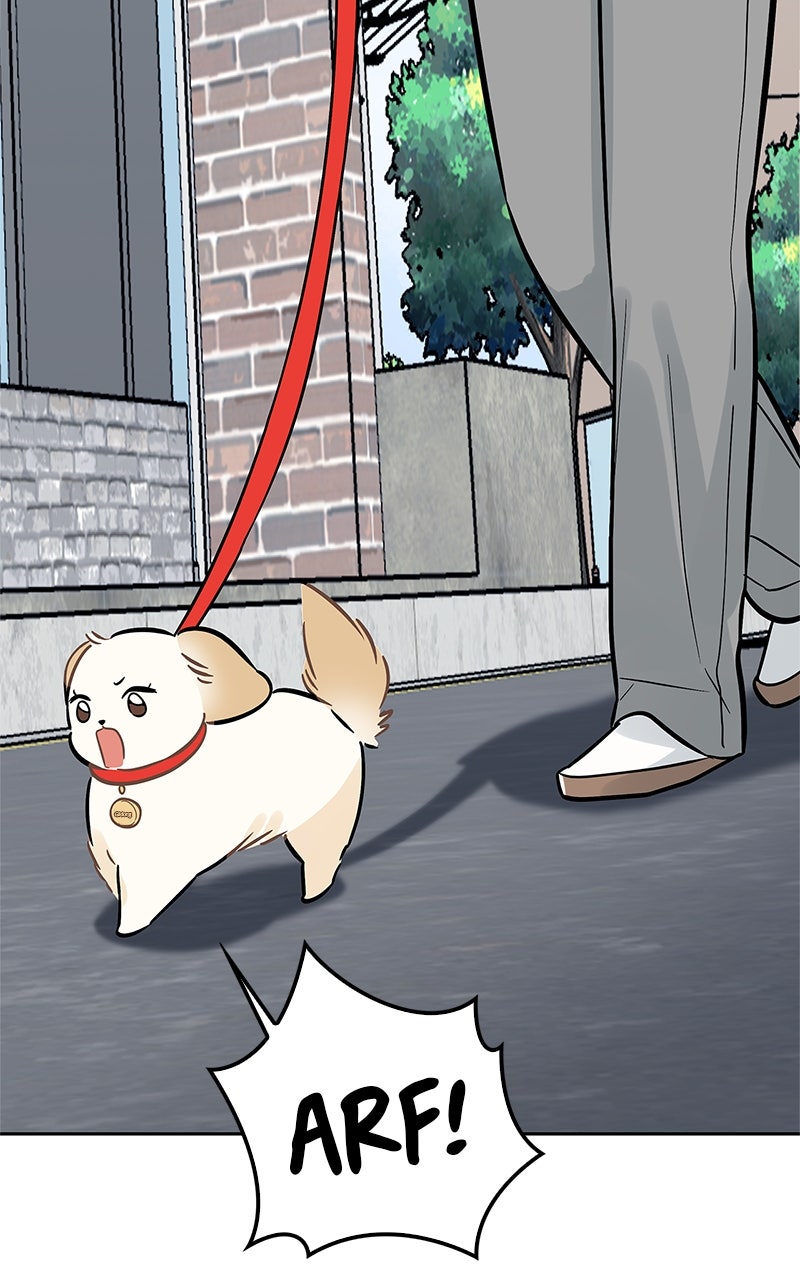 Woke Up as the CEO’s Dog Episode 15 page 66 - 