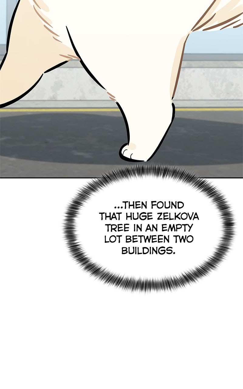 Woke Up as the CEO’s Dog Episode 15 page 68 - 