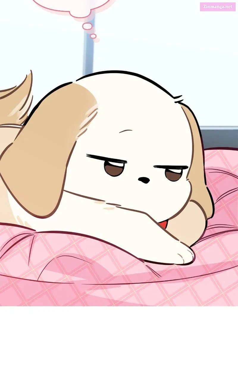 Woke Up as the CEO’s Dog Chapter 21 page 34 - 