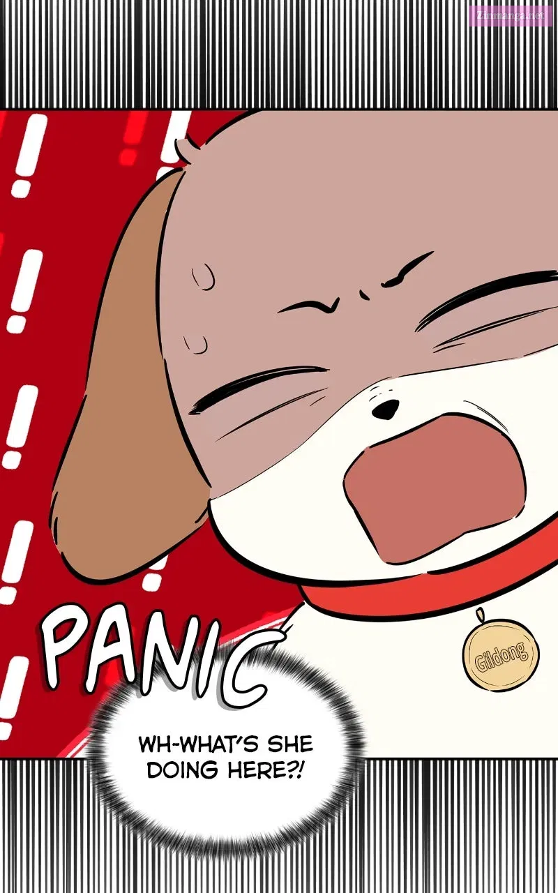Woke Up as the CEO’s Dog Chapter 21 page 39 - 