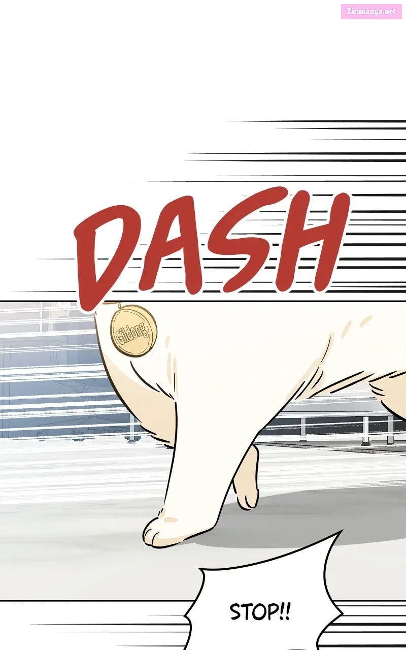 Woke Up as the CEO’s Dog Chapter 21 page 52 - 