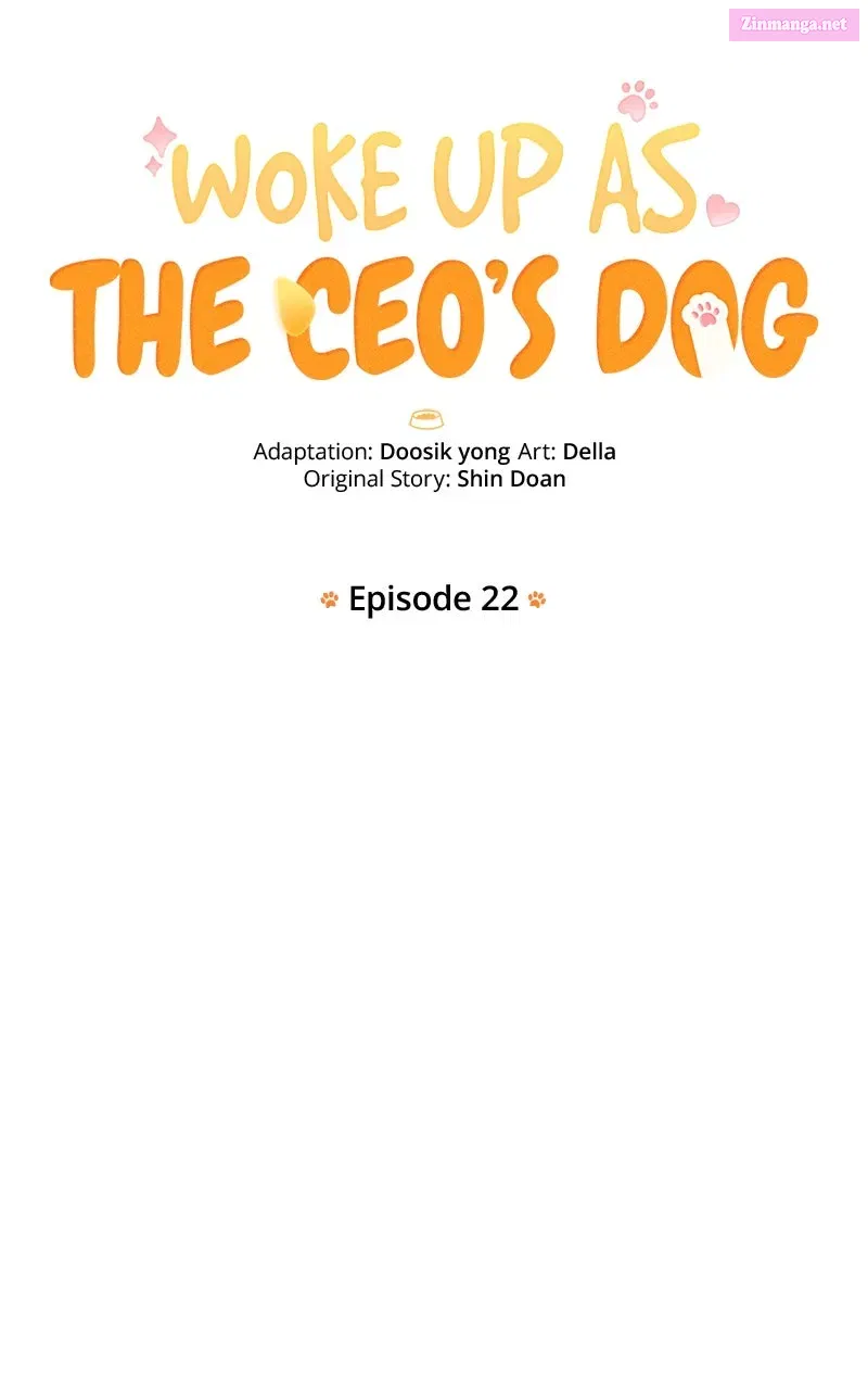 Woke Up as the CEO’s Dog Chapter 22 page 13 - 