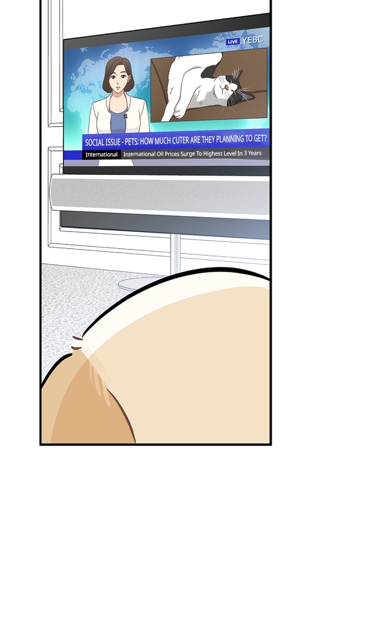 Woke Up as the CEO’s Dog Episode 29 page 29 - 