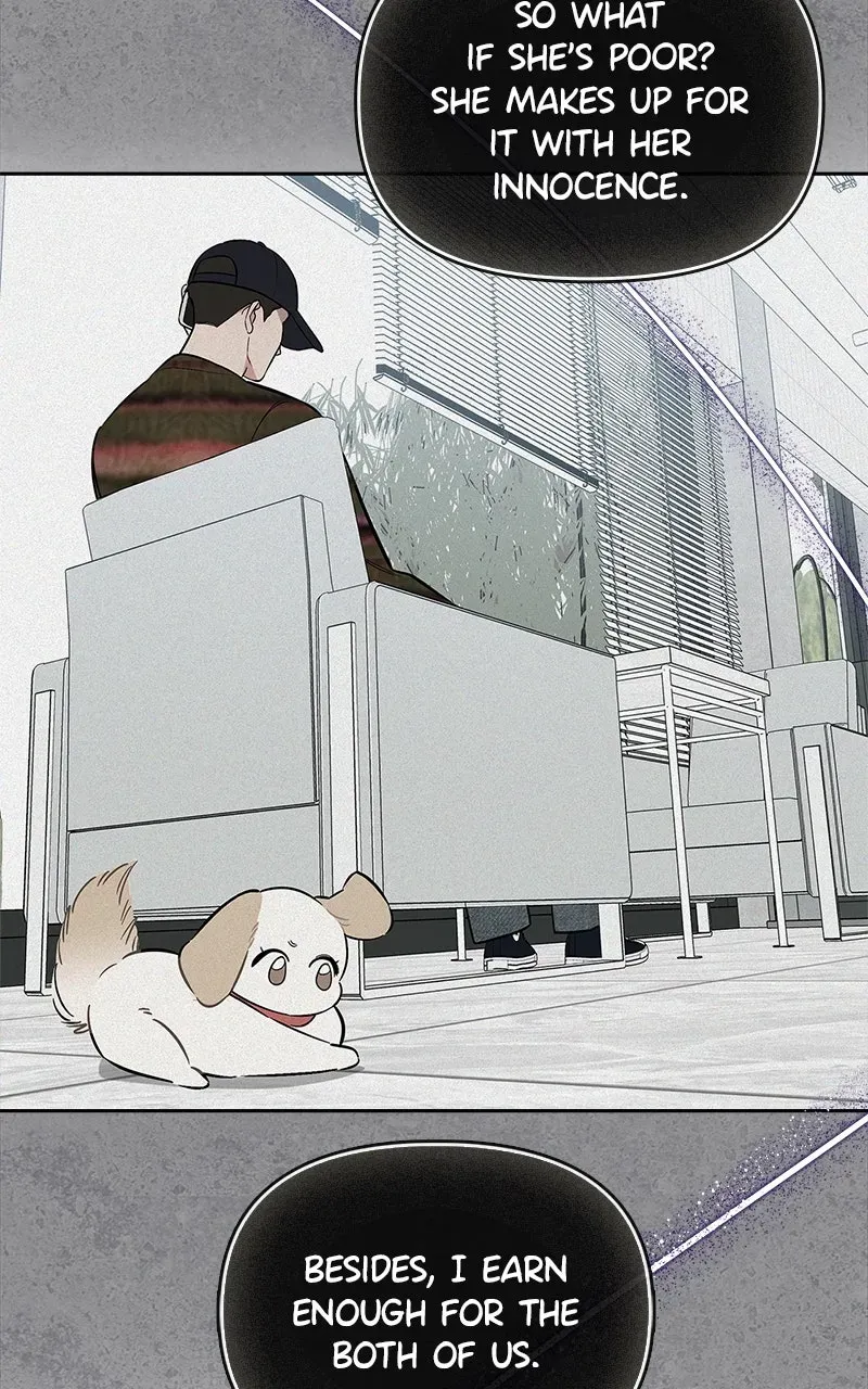 Woke Up as the CEO’s Dog Chapter 31 page 62 - 