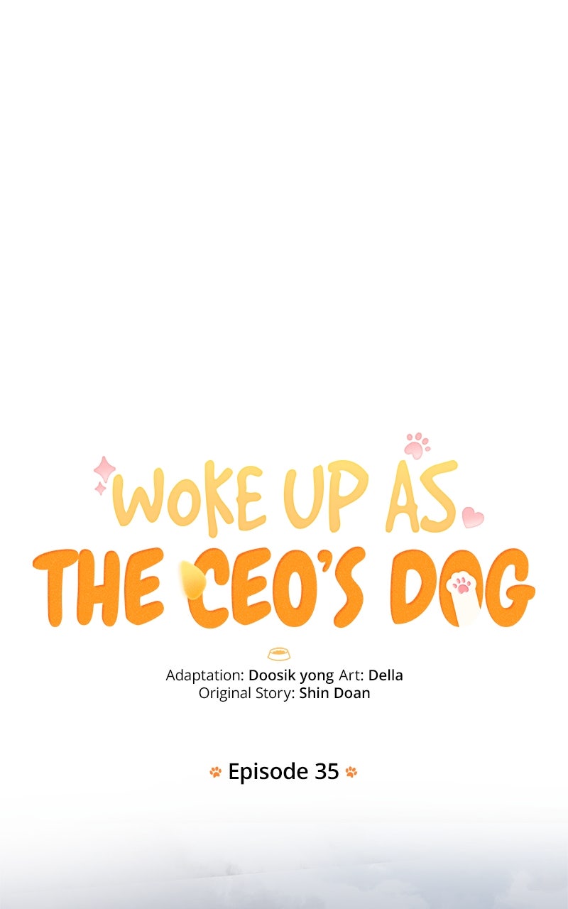 Woke Up as the CEO’s Dog Episode 35 page 1 - 