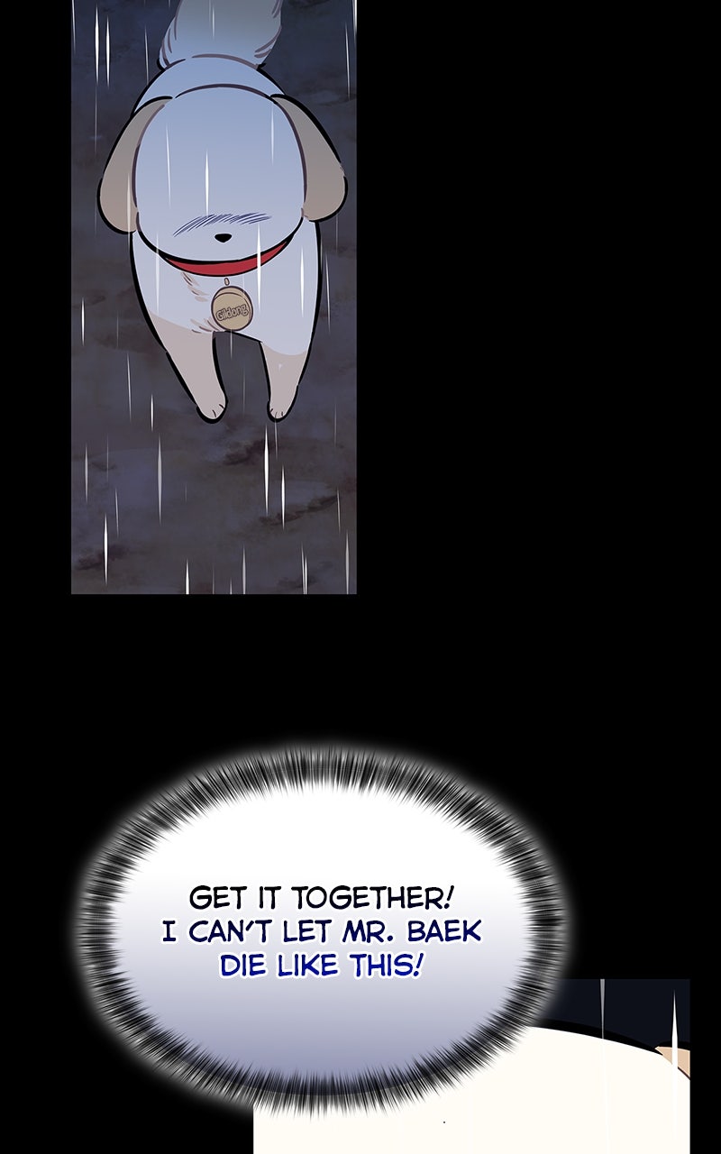 Woke Up as the CEO’s Dog Episode 35 page 68 - 