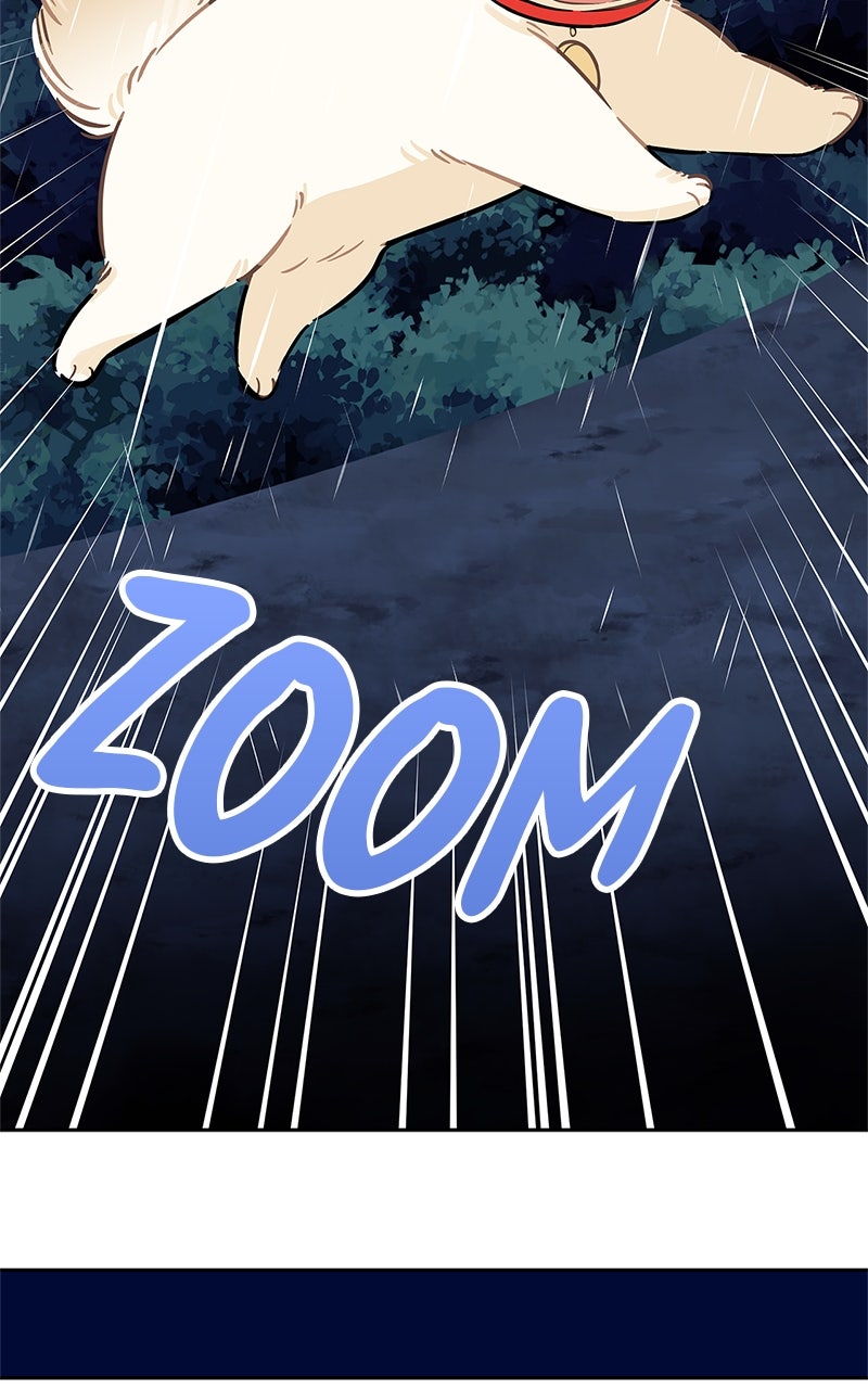 Woke Up as the CEO’s Dog Episode 35 page 80 - 