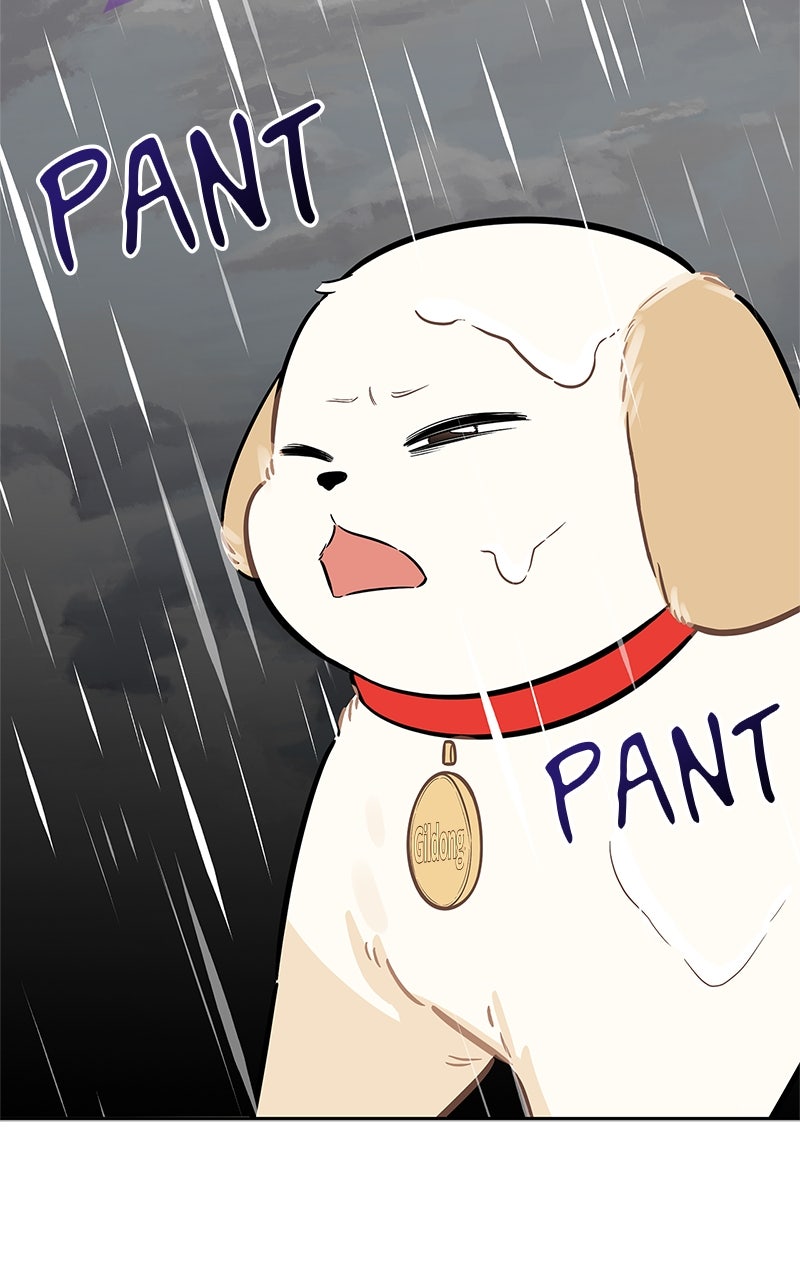 Woke Up as the CEO’s Dog Episode 35 page 96 - 