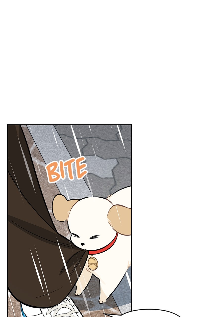 Woke Up as the CEO’s Dog Episode 35 page 97 - 