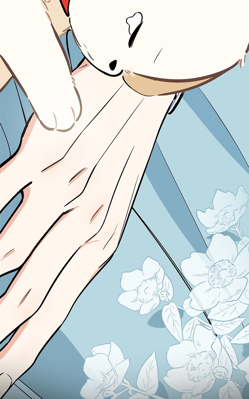 Woke Up as the CEO’s Dog Episode 36 page 13 - 