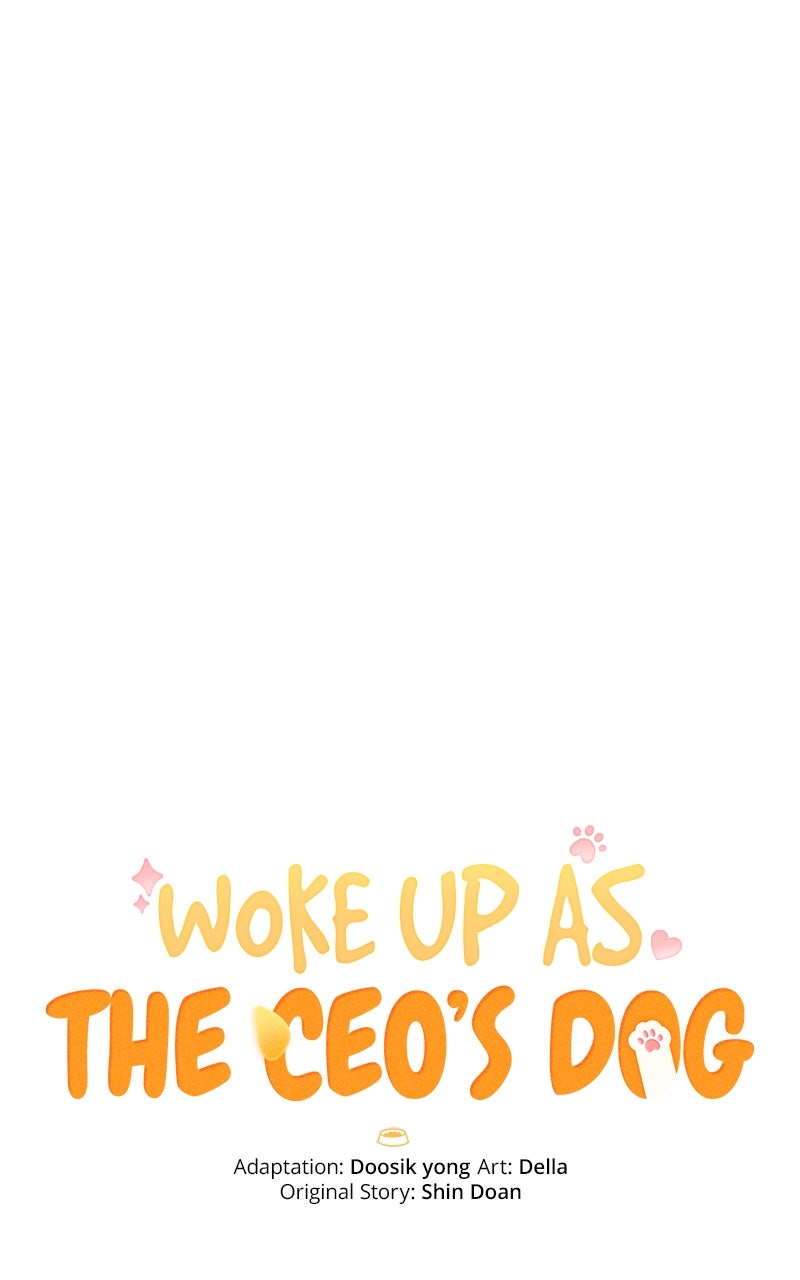 Woke Up as the CEO’s Dog Episode 37 page 29 - 
