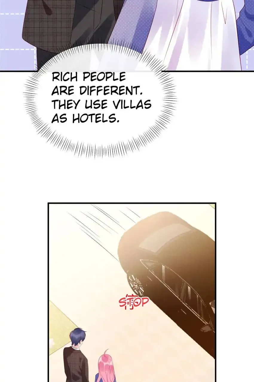 Wolf Billionaire