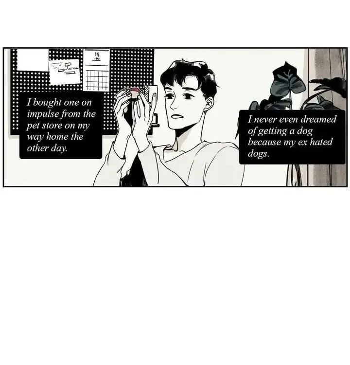 Wolf in the House Chapter 1 page 21 - 