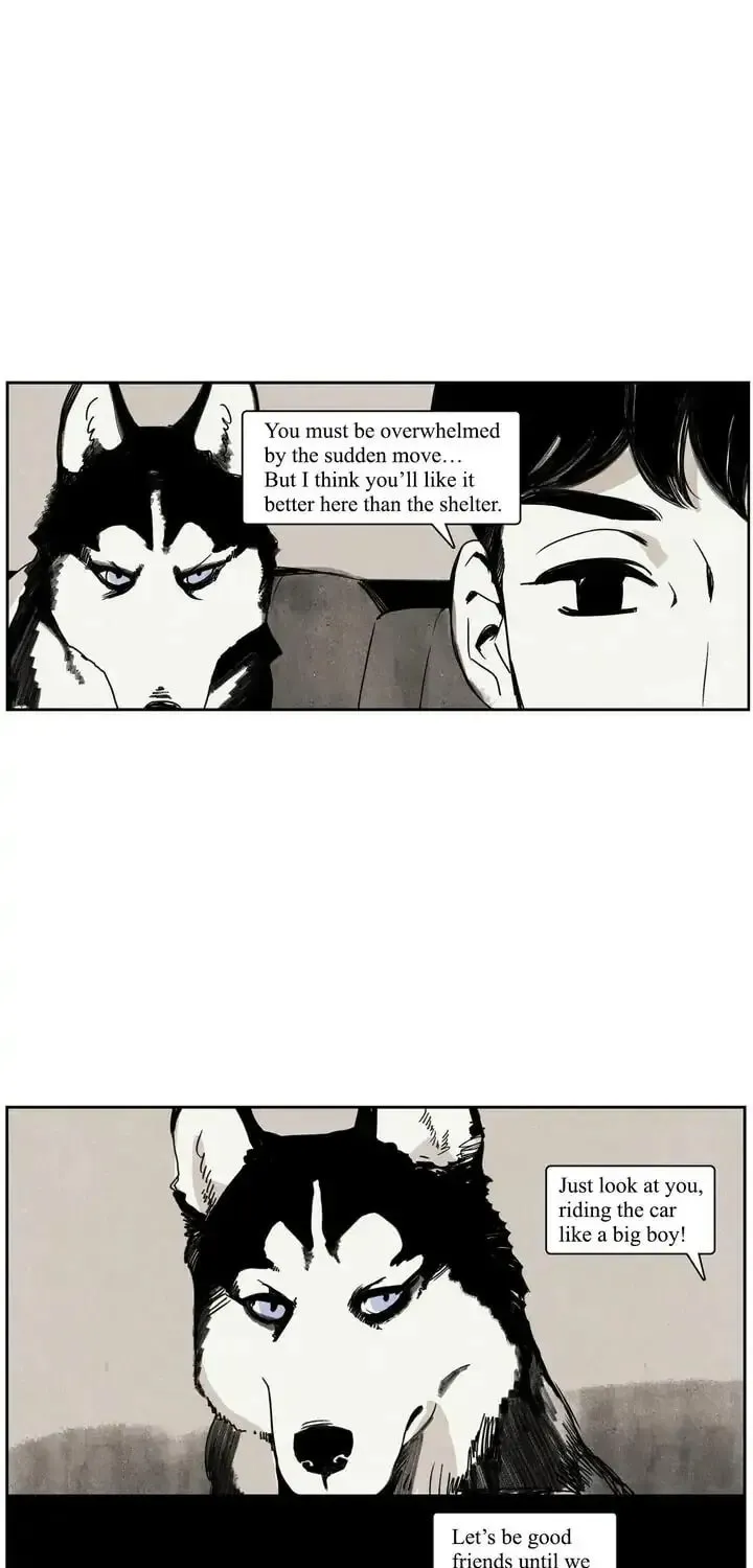 Wolf in the House Chapter 1 page 29 - 
