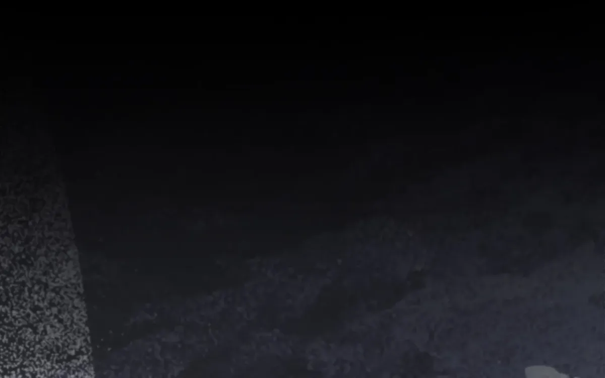 Wolf in White Chapter 29 page 2 - 