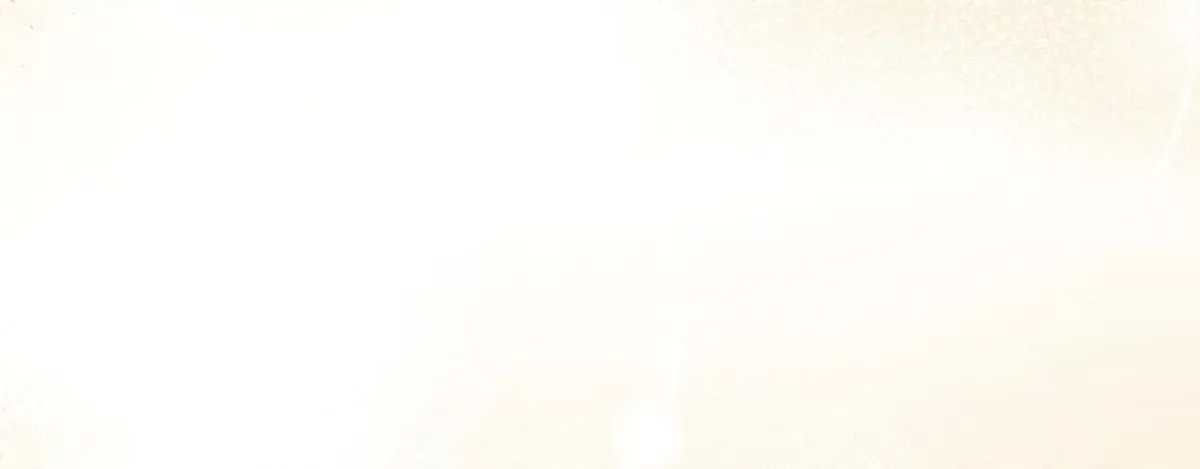 Wolf in White Chapter 33 page 39 - 