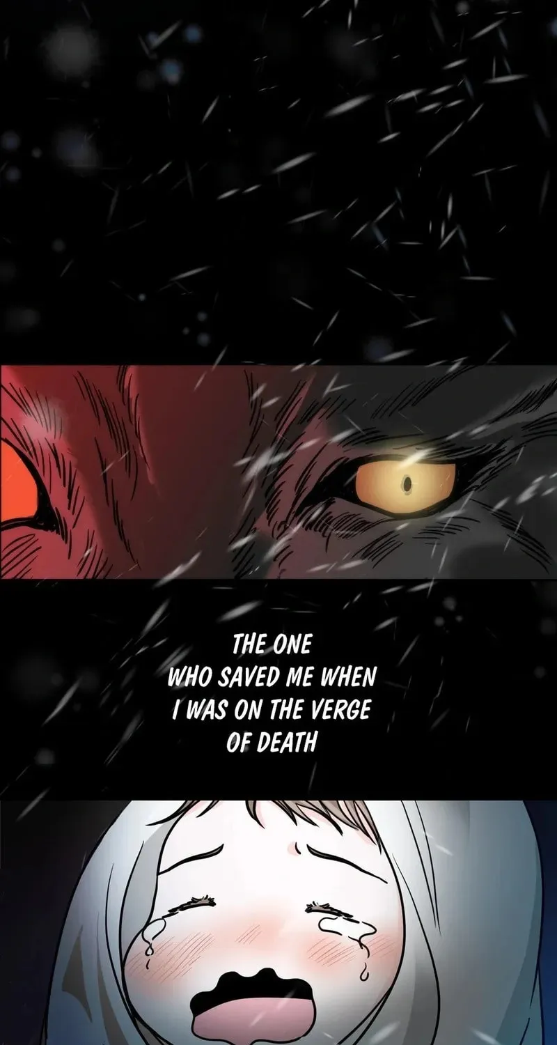 Wolves Are Dangerous! Chapter 1 page 5 - 