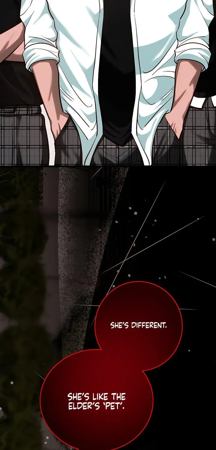 Wolves Are Dangerous! Chapter 10 page 13 - 