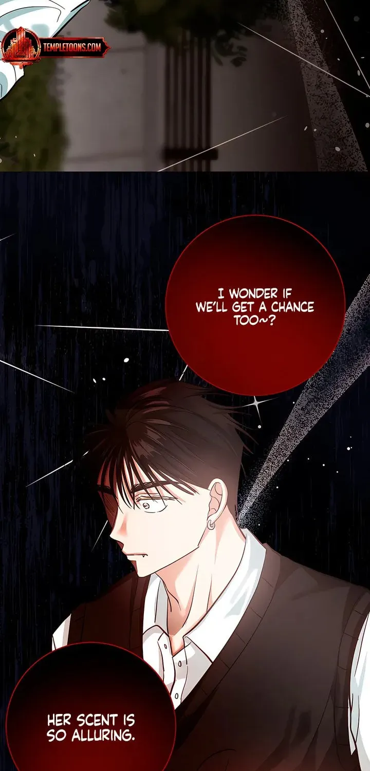 Wolves Are Dangerous! Chapter 10 page 15 - 