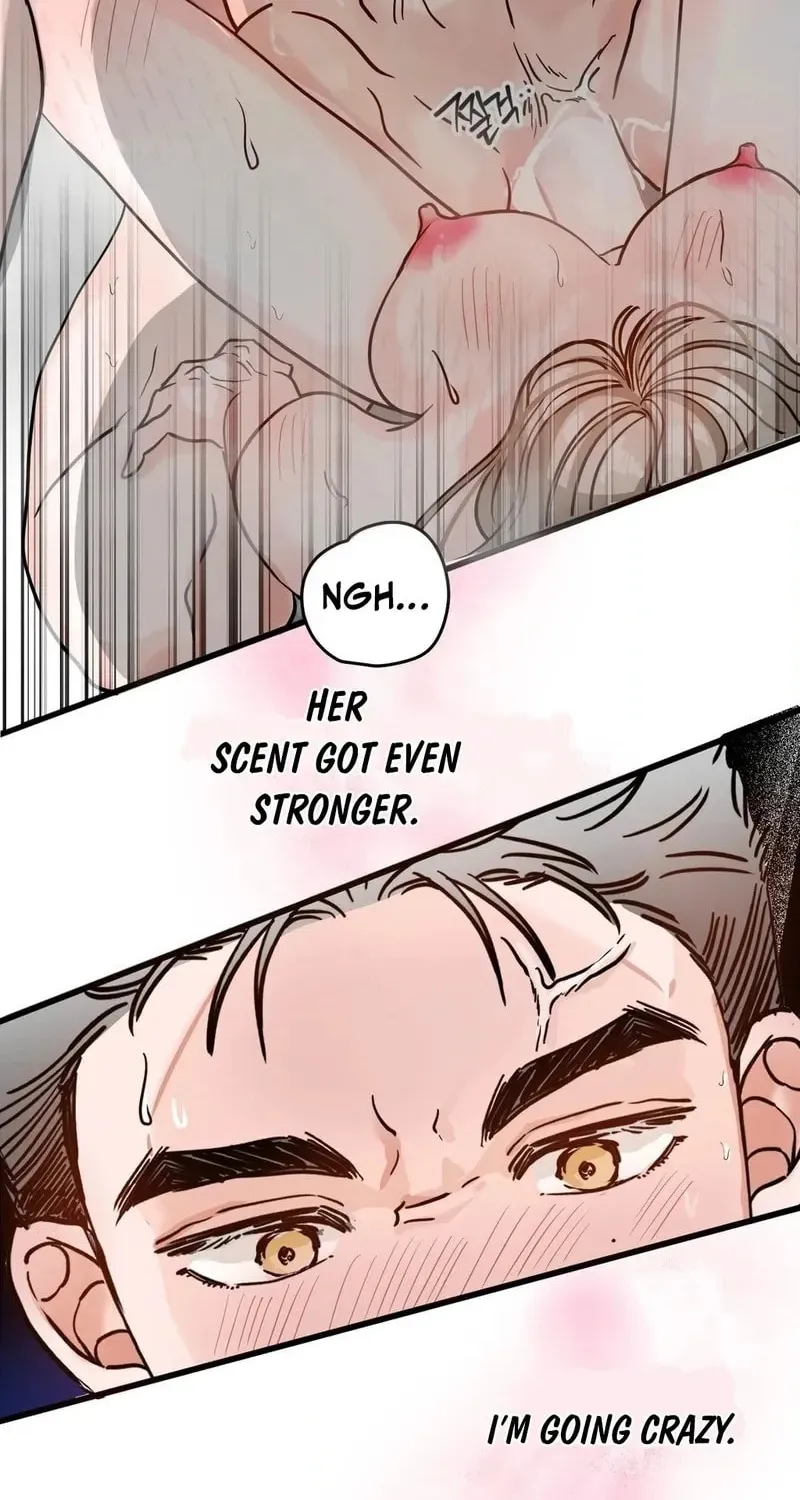 Wolves Are Dangerous! Chapter 3 page 95 - 