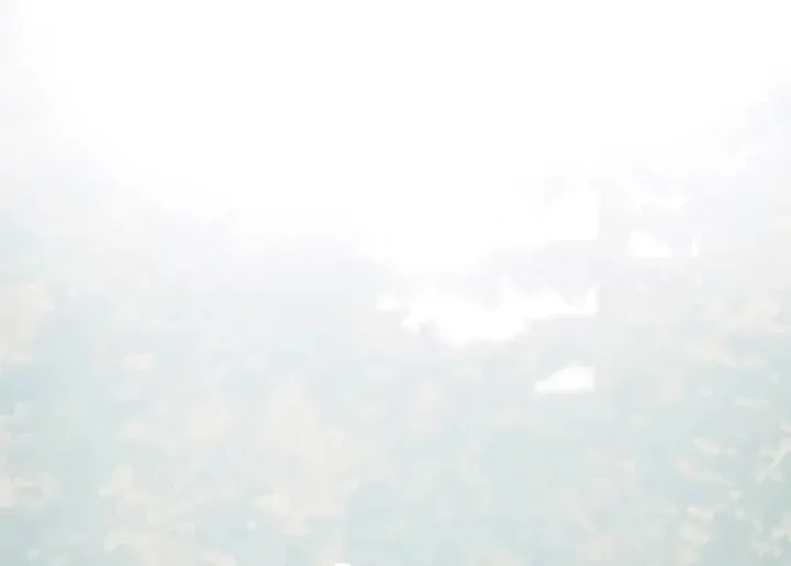 Wolves Are Dangerous! Chapter 6 page 24 - 