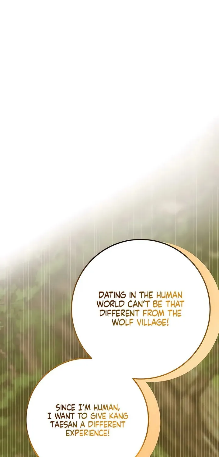 Wolves Are Dangerous! Chapter 8 page 25 - 