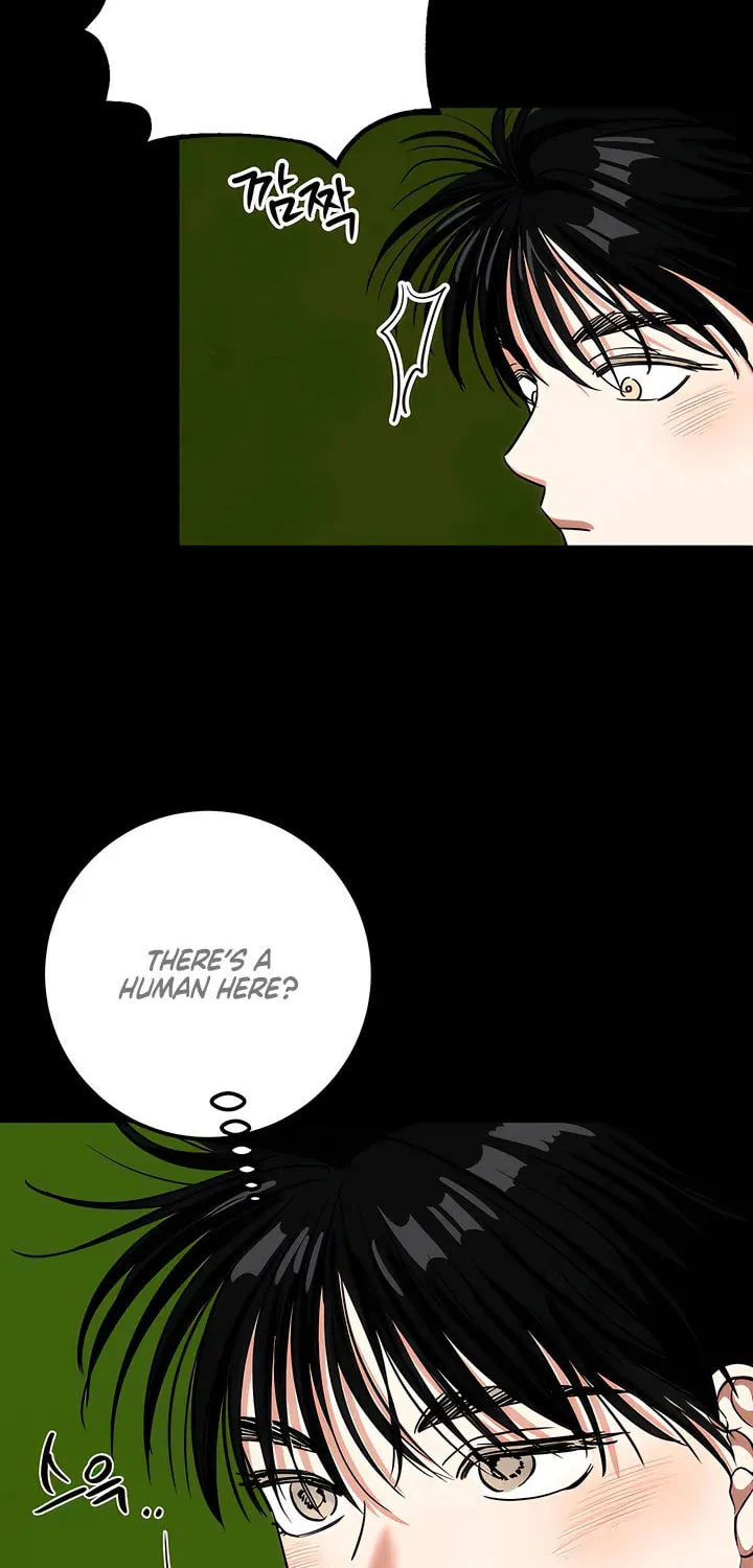 Wolves Are Dangerous! Chapter 9 page 70 - 