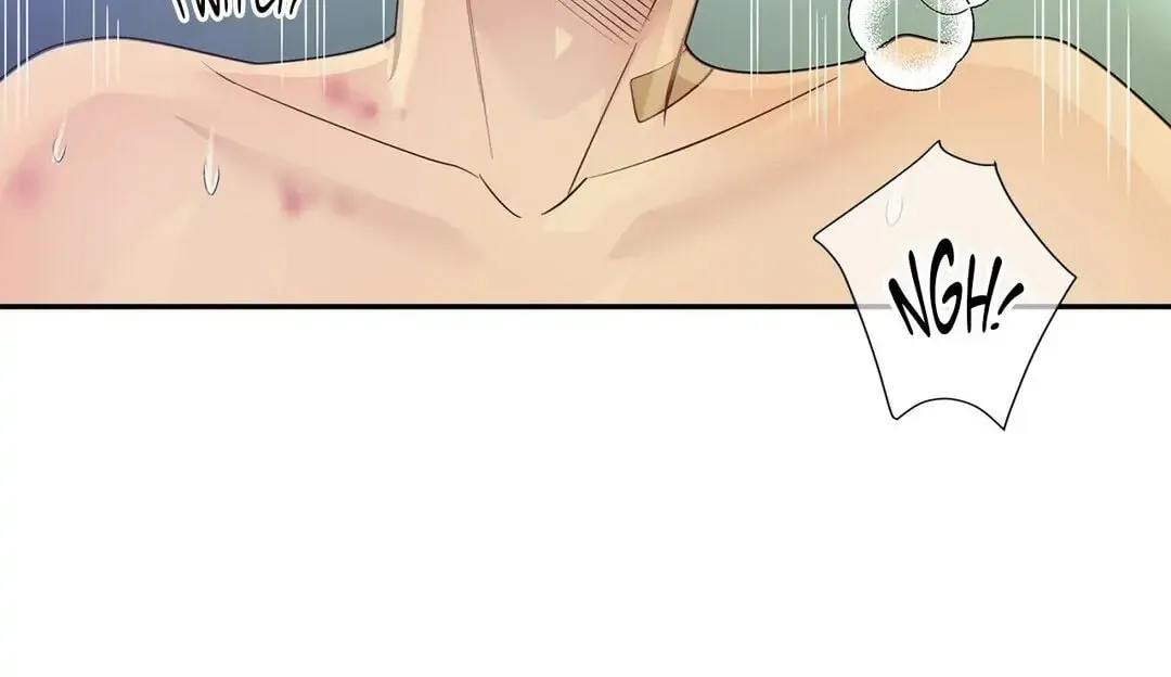 Wolves Behind Bars Chapter 16 page 96 - 