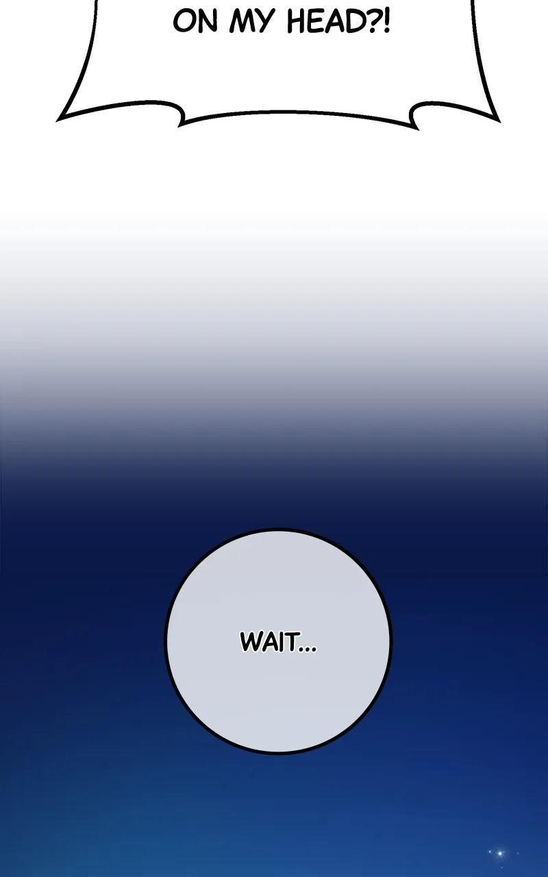World