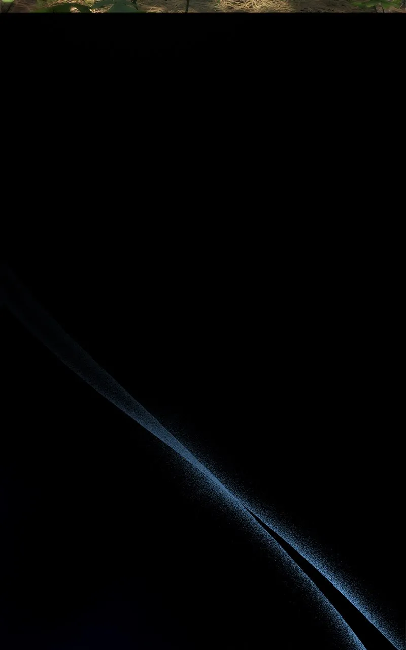 World
