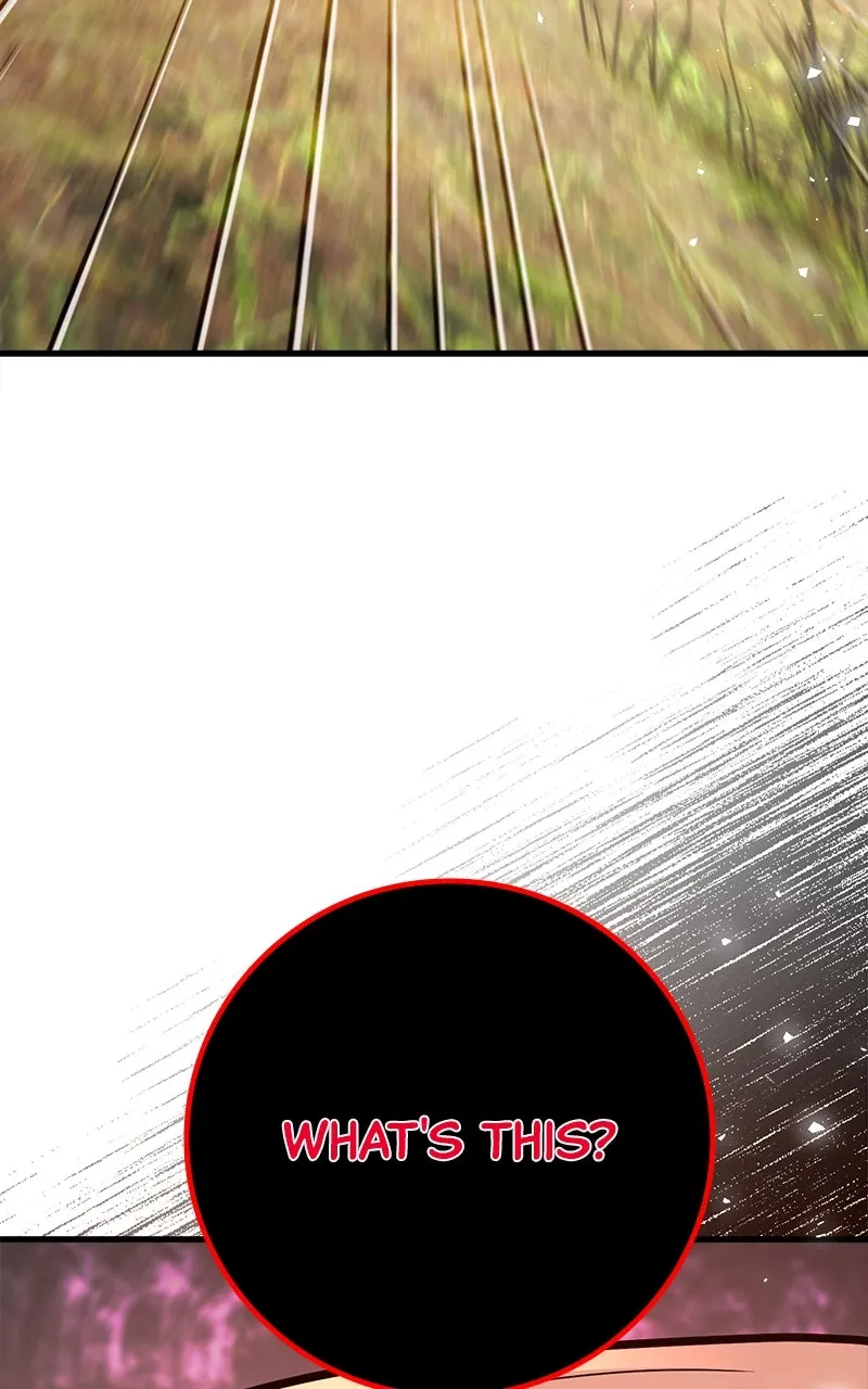 World