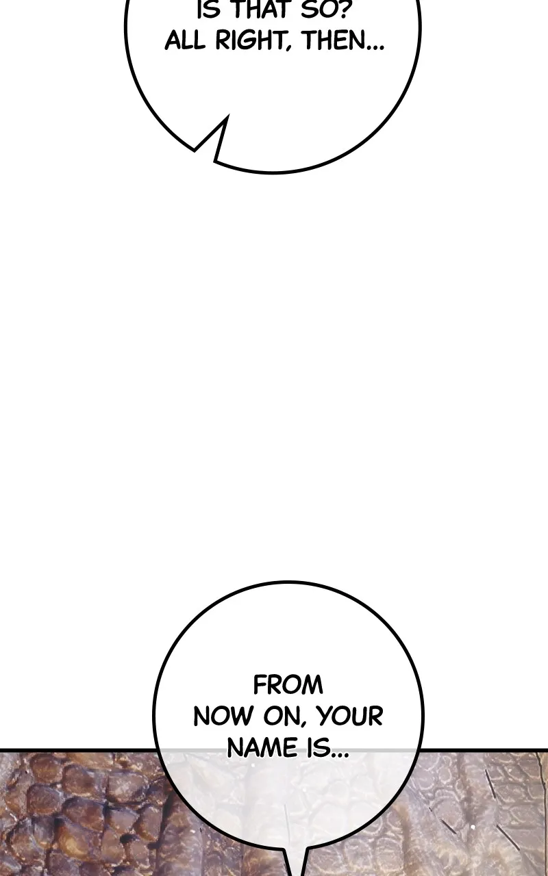 World