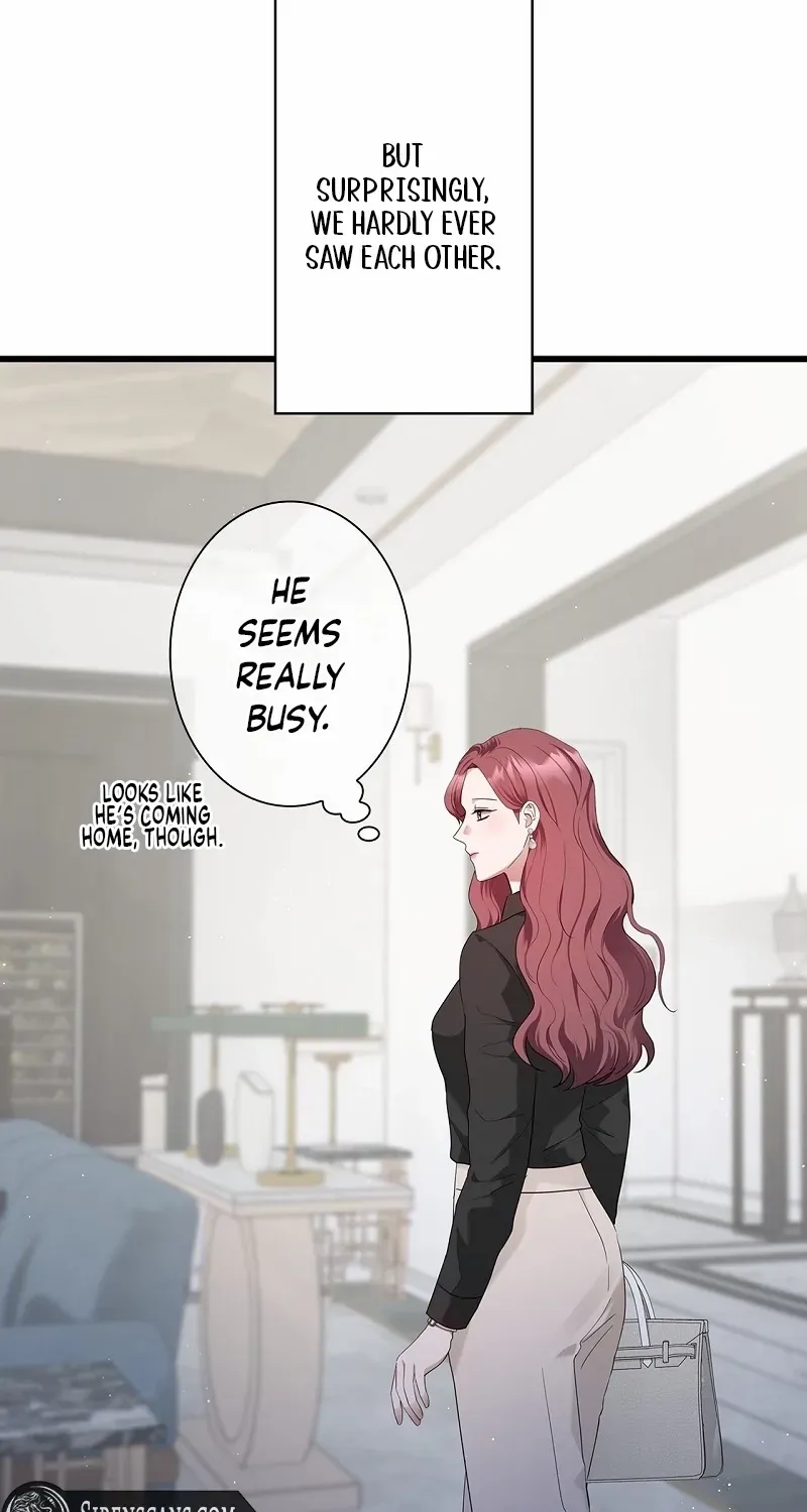 Would You Like to Have an Affair With Me Chapter 25 page 5 - 